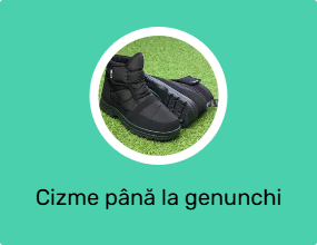 Cizme până la genunchi