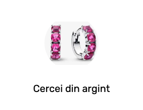 Cercei din argint