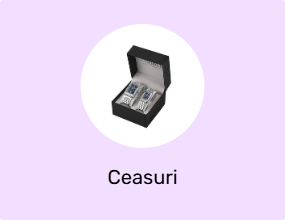 Ceasuri