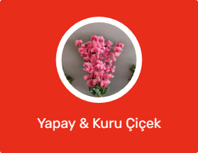 Yapay & Kuru Çiçek