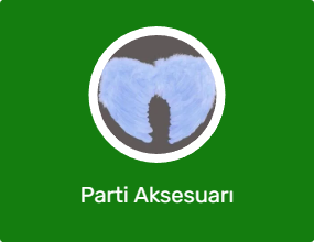 Parti Aksesuarı