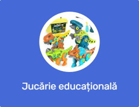 Jucărie educațională