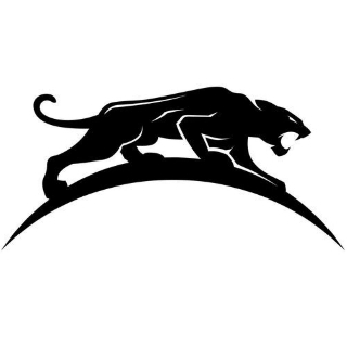 STEELBEAR