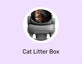 Cat Litter Box
