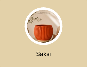 Saksı