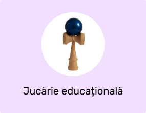 Jucărie educațională