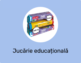 Jucărie educațională
