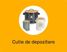 Cutie de depozitare