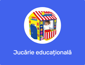 Jucărie educațională