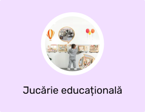 Jucărie educațională