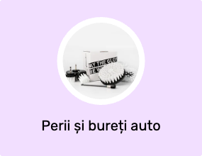 Perii și bureți auto