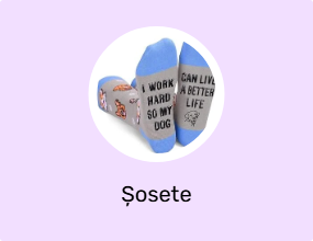 Șosete