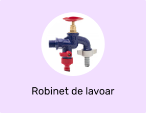 Robinet de lavoar