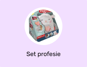 Set profesie