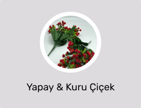 Yapay & Kuru Çiçek