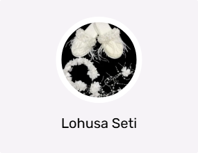 Lohusa Seti