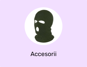 Accesorii
