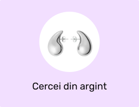 Cercei din argint