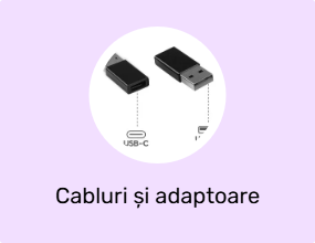 Cabluri și adaptoare