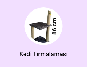 Kedi Tırmalaması