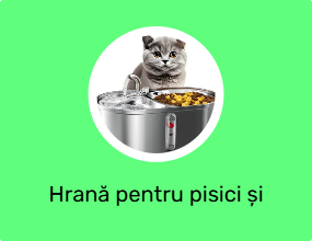 Hrană pentru pisici și recipiente pentru apă