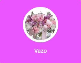 Vazo