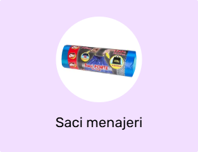 Saci menajeri