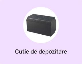 Cutie de depozitare
