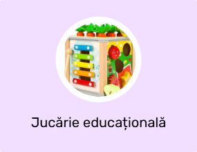 Jucărie educațională