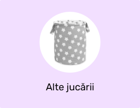 Alte jucării