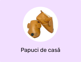 Papuci de casă