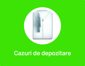 Cazuri de depozitare