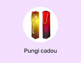 Pungi cadou