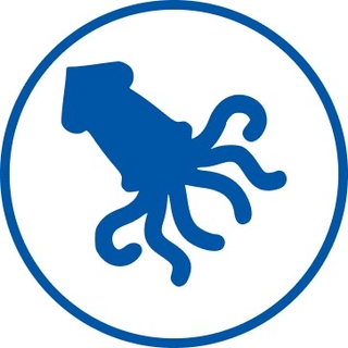 Polpo Network