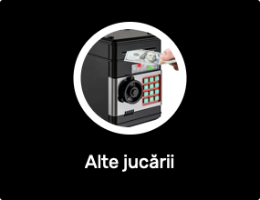 Alte jucării