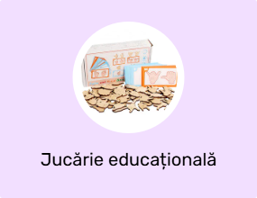 Jucărie educațională