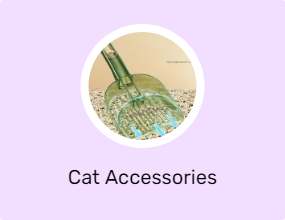 Cat Accessories