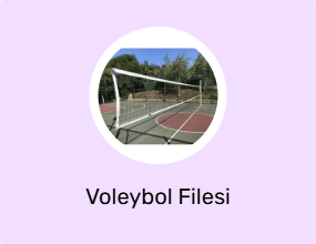 Voleybol Filesi