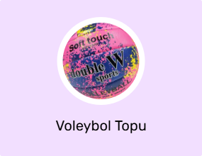 Voleybol Topu