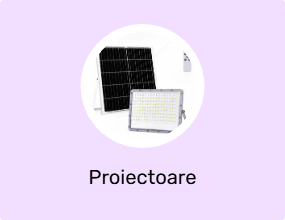 Proiectoare