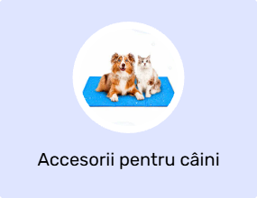 Accesorii pentru câini