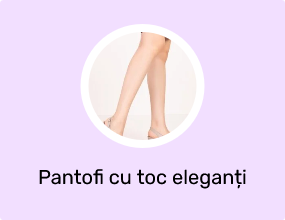 Pantofi cu toc eleganți