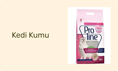 Kedi Kumu
