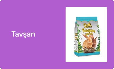 Tavşan