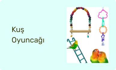Kuş Oyuncağı