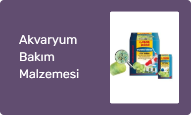Akvaryum Bakım Malzemesi