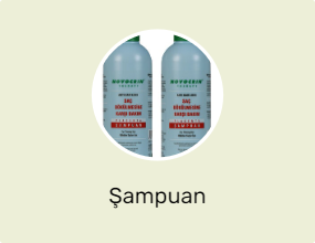 Şampuan