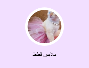 ملابس قطط