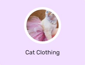 Cat Clothing