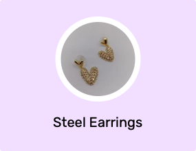 Steel Earrings